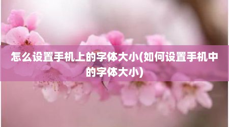 怎么设置手机上的字体大小(如何设置手机中的字体大小)