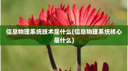 信息物理系统技术是什么(信息物理系统核心是什么)