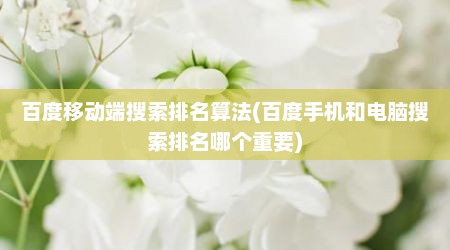 百度移动端搜索排名算法(百度手机和电脑搜索排名哪个重要)