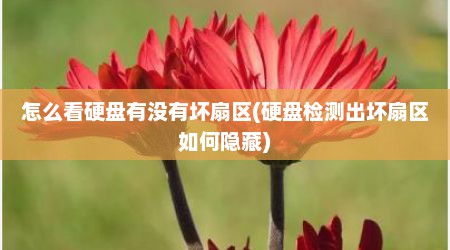 怎么看硬盘有没有坏扇区(硬盘检测出坏扇区如何隐藏)