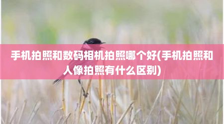 手机拍照和数码相机拍照哪个好(手机拍照和人像拍照有什么区别)