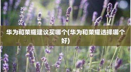 华为和荣耀建议买哪个(华为和荣耀选择哪个好)