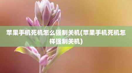苹果手机死机怎么强制关机(苹果手机死机怎样强制关机)