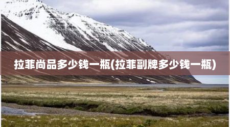 拉菲尚品多少钱一瓶(拉菲副牌多少钱一瓶)