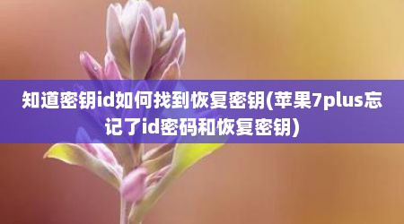 知道密钥id如何找到恢复密钥(苹果7plus忘记了id密码和恢复密钥)