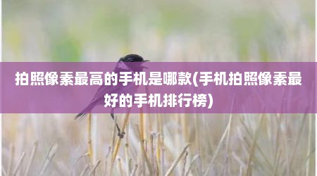 拍照像素最高的手机是哪款(手机拍照像素最好的手机排行榜)