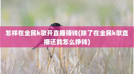 怎样在全民k歌开直播赚钱(除了在全民k歌直播还能怎么挣钱)