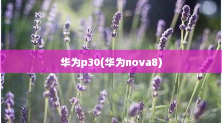 华为p30(华为nova8)
