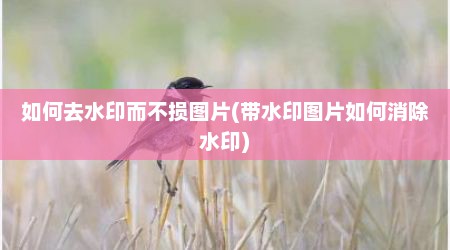 如何去水印而不损图片(带水印图片如何消除水印)