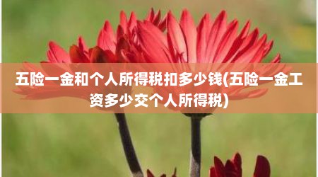 五险一金和个人所得税扣多少钱(五险一金工资多少交个人所得税)