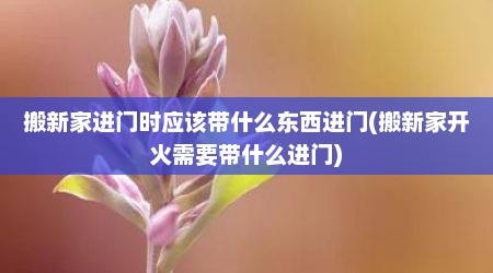 搬新家进门时应该带什么东西进门(搬新家开火需要带什么进门)