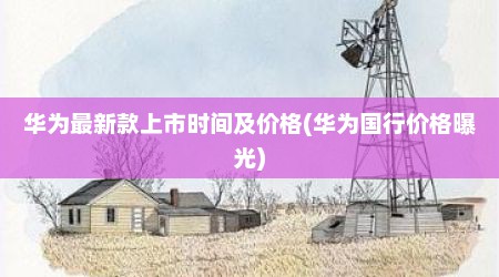 华为最新款上市时间及价格(华为国行价格曝光)