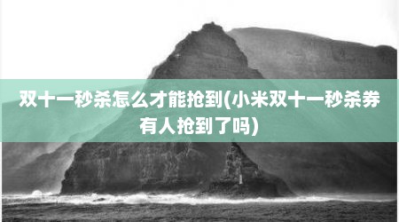 双十一秒杀怎么才能抢到(小米双十一秒杀券有人抢到了吗)