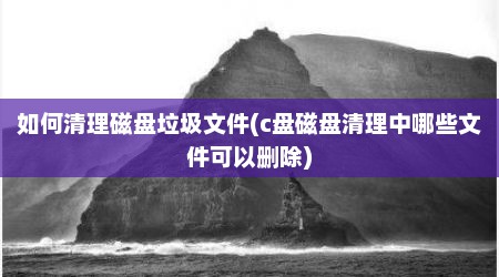 如何清理磁盘垃圾文件(c盘磁盘清理中哪些文件可以删除)