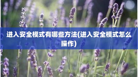 进入安全模式有哪些方法(进入安全模式怎么操作)