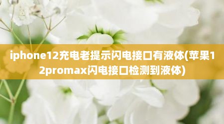 iphone12充电老提示闪电接口有液体(苹果12promax闪电接口检测到液体)