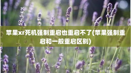 苹果xr死机强制重启也重启不了(苹果强制重启和一般重启区别)