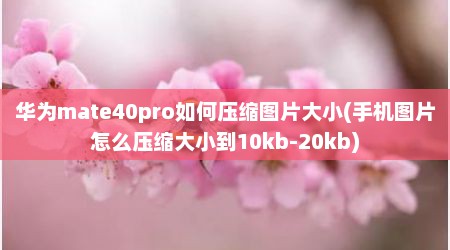 华为mate40pro如何压缩图片大小(手机图片怎么压缩大小到10kb-20kb)