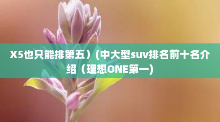 X5也只能排第五）(中大型suv排名前十名介绍（理想ONE第一)