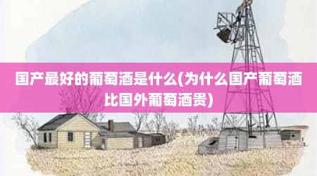 国产最好的葡萄酒是什么(为什么国产葡萄酒比国外葡萄酒贵)