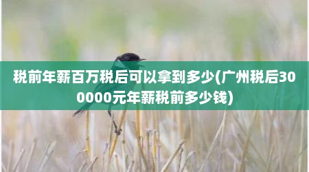 税前年薪百万税后可以拿到多少(广州税后300000元年薪税前多少钱)