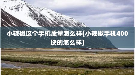 小辣椒这个手机质量怎么样(小辣椒手机400块的怎么样)