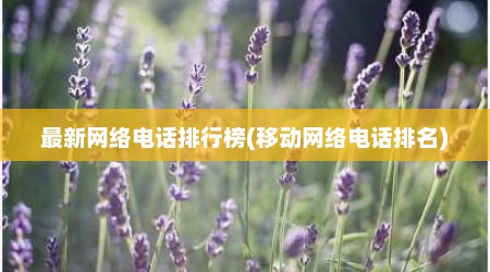 最新网络电话排行榜(移动网络电话排名)