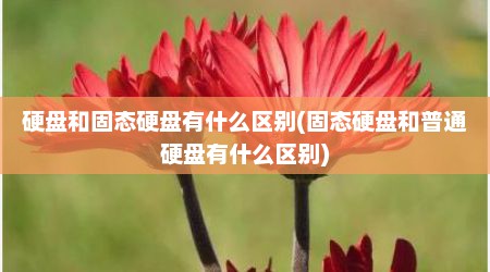 硬盘和固态硬盘有什么区别(固态硬盘和普通硬盘有什么区别)