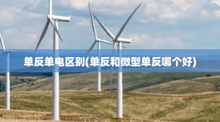 单反单电区别(单反和微型单反哪个好)