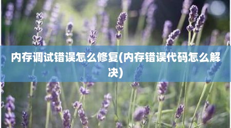 内存调试错误怎么修复(内存错误代码怎么解决)