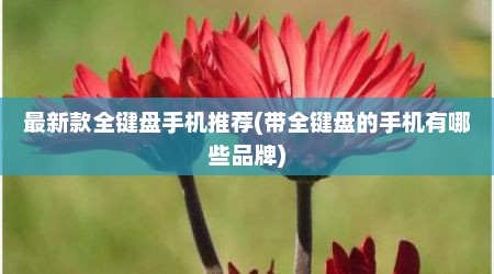 最新款全键盘手机推荐(带全键盘的手机有哪些品牌)