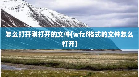 怎么打开刚打开的文件(wfzf格式的文件怎么打开)