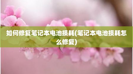 如何修复笔记本电池损耗(笔记本电池损耗怎么修复)