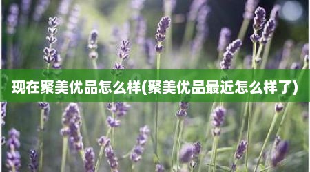 现在聚美优品怎么样(聚美优品最近怎么样了)