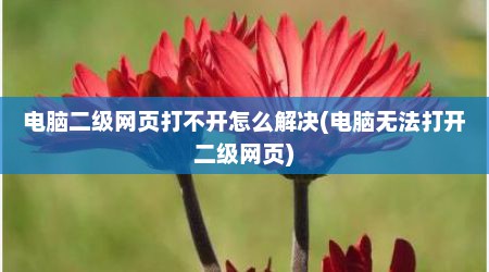电脑二级网页打不开怎么解决(电脑无法打开二级网页)