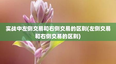 实战中左侧交易和右侧交易的区别(左侧交易和右侧交易的区别)