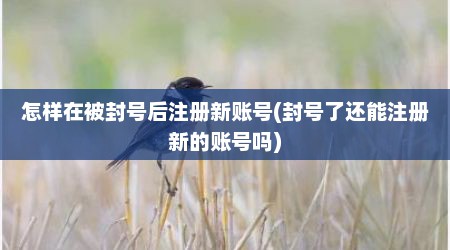 怎样在被封号后注册新账号(封号了还能注册新的账号吗)