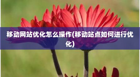 移动网站优化怎么操作(移动站点如何进行优化)