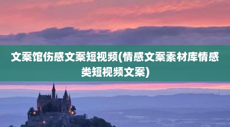 文案馆伤感文案短视频(情感文案素材库情感类短视频文案)