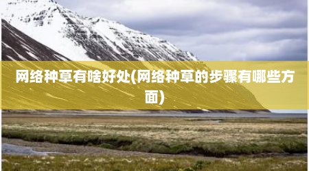 网络种草有啥好处(网络种草的步骤有哪些方面)