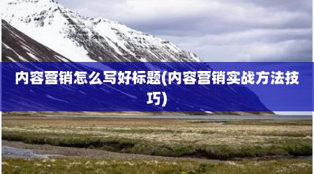 内容营销怎么写好标题(内容营销实战方法技巧)