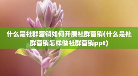 什么是社群营销如何开展社群营销(什么是社群营销怎样做社群营销ppt)