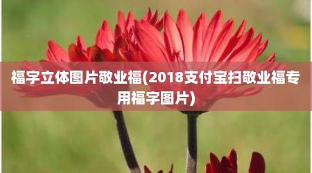 福字立体图片敬业福(2018支付宝扫敬业福专用福字图片)
