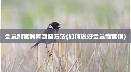 会员制营销有哪些方法(如何做好会员制营销)