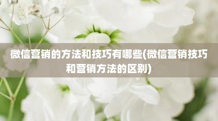 微信营销的方法和技巧有哪些(微信营销技巧和营销方法的区别)