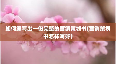 如何编写出一份完整的营销策划书(营销策划书怎样写好)