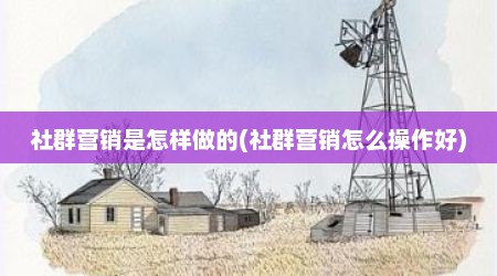 社群营销是怎样做的(社群营销怎么操作好)