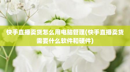 快手直播卖货怎么用电脑管理(快手直播卖货需要什么软件和硬件)