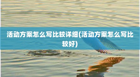 活动方案怎么写比较详细(活动方案怎么写比较好)