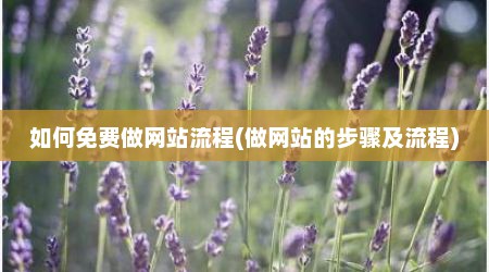 如何免费做网站流程(做网站的步骤及流程)